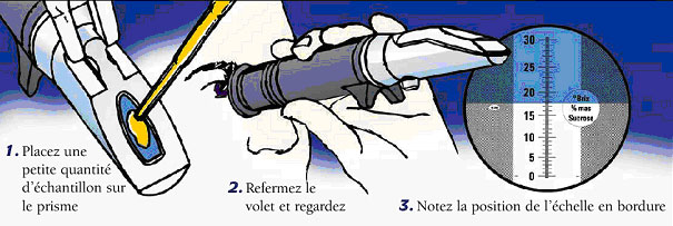 utilisation d'un refractometre